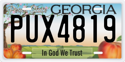 GA license plate PUX4819