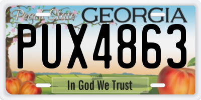 GA license plate PUX4863