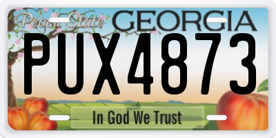 GA license plate PUX4873