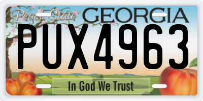 GA license plate PUX4963
