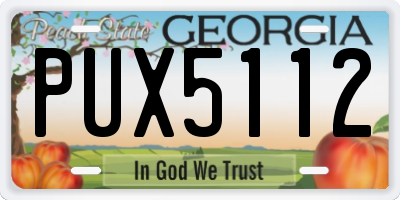 GA license plate PUX5112