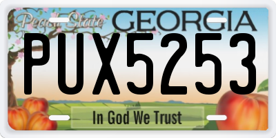 GA license plate PUX5253