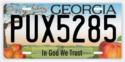 GA license plate PUX5285