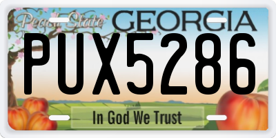 GA license plate PUX5286