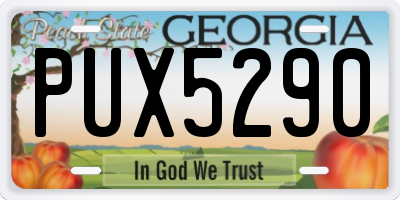GA license plate PUX5290