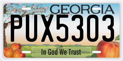 GA license plate PUX5303