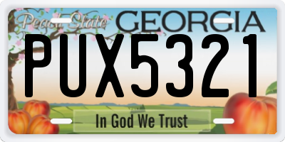 GA license plate PUX5321