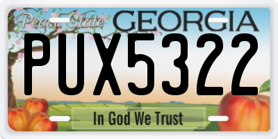 GA license plate PUX5322