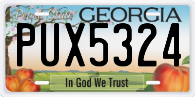 GA license plate PUX5324