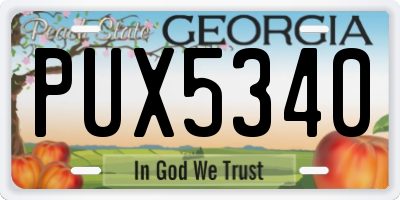 GA license plate PUX5340