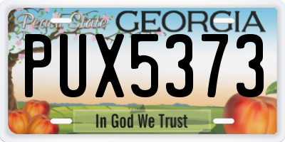 GA license plate PUX5373