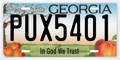 GA license plate PUX5401
