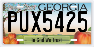 GA license plate PUX5425