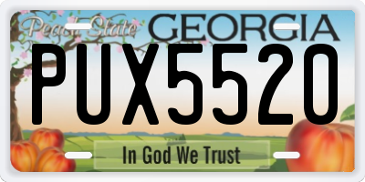 GA license plate PUX5520