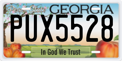 GA license plate PUX5528