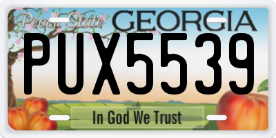 GA license plate PUX5539