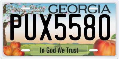 GA license plate PUX5580