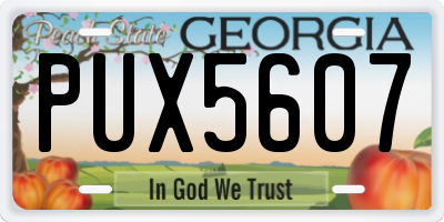 GA license plate PUX5607