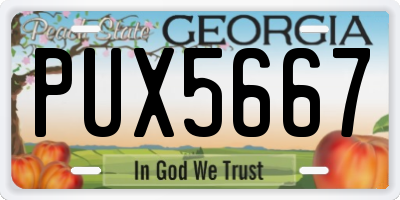GA license plate PUX5667