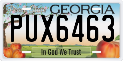 GA license plate PUX6463
