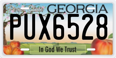 GA license plate PUX6528