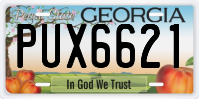 GA license plate PUX6621