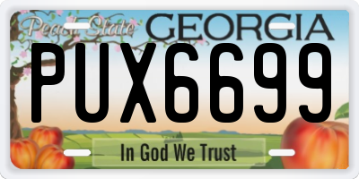 GA license plate PUX6699