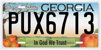 GA license plate PUX6713