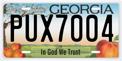 GA license plate PUX7004