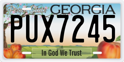 GA license plate PUX7245