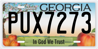 GA license plate PUX7273