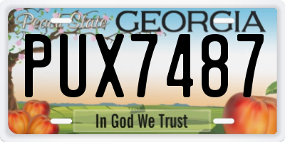 GA license plate PUX7487