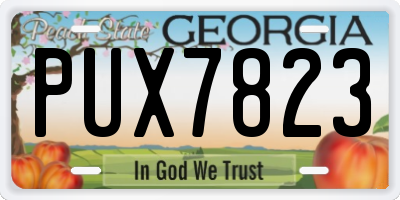 GA license plate PUX7823
