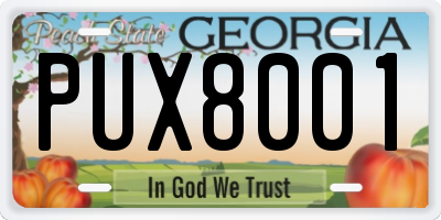 GA license plate PUX8001