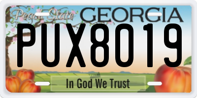 GA license plate PUX8019