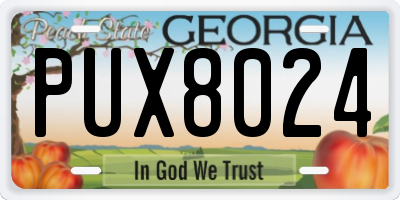 GA license plate PUX8024