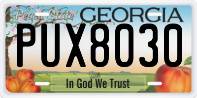 GA license plate PUX8030