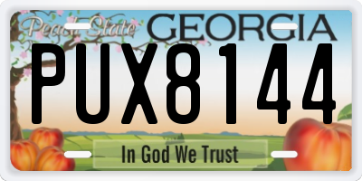 GA license plate PUX8144