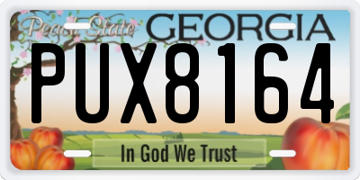 GA license plate PUX8164