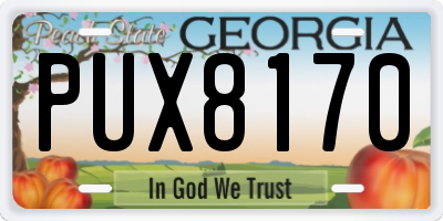 GA license plate PUX8170