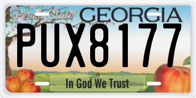 GA license plate PUX8177