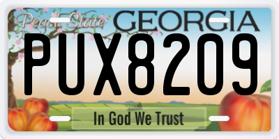 GA license plate PUX8209
