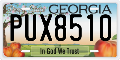 GA license plate PUX8510