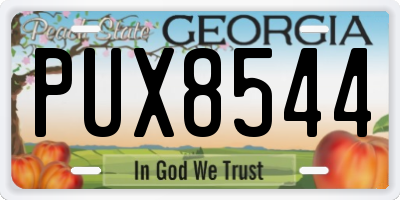 GA license plate PUX8544