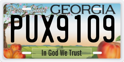 GA license plate PUX9109