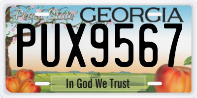 GA license plate PUX9567