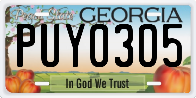 GA license plate PUY0305