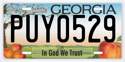GA license plate PUY0529
