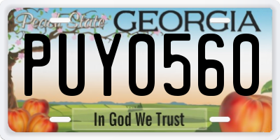 GA license plate PUY0560