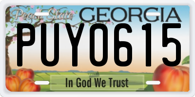 GA license plate PUY0615